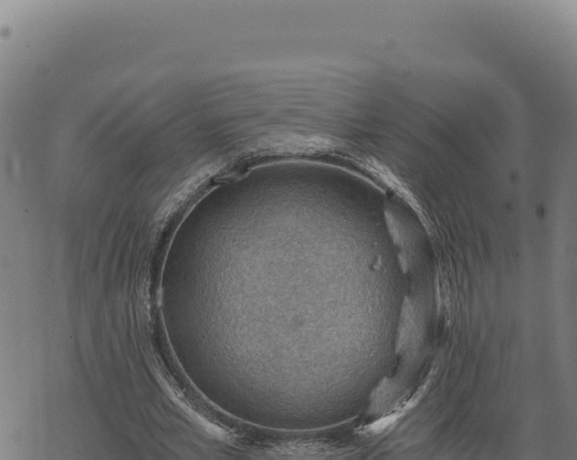 X0000068830581200605121343