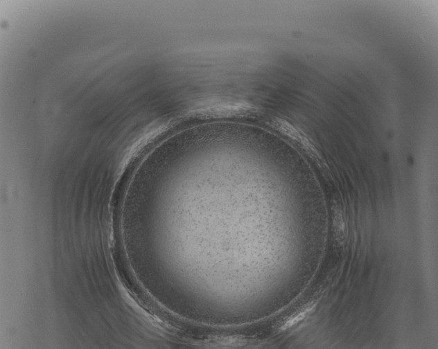 X0000068830582200605121343