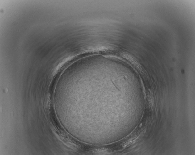 X0000068830583200605121343