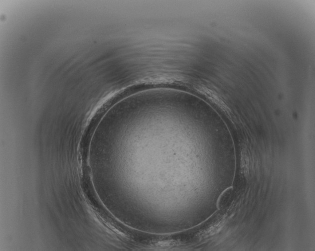 X0000068830584200605121343