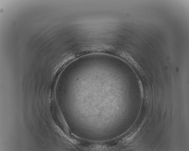 X0000068830585200605121343