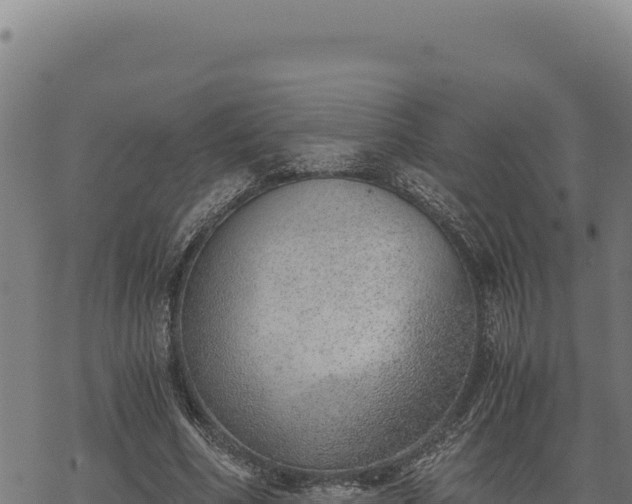 X0000068830586200605121343