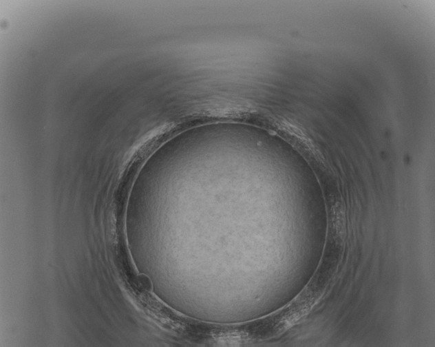 X0000068830587200605121343