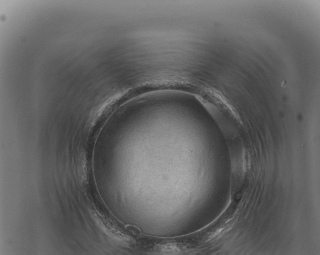 X0000068830588200605121343