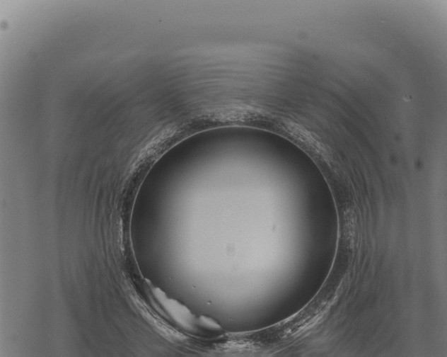 X0000068830589200605121343