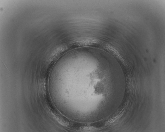 X0000068830590200605121343