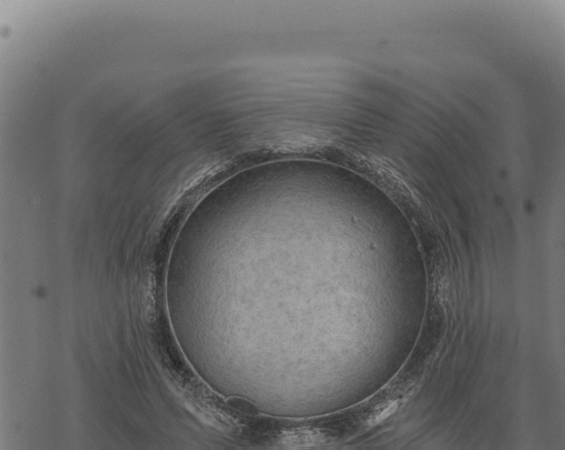 X0000068830591200605121343