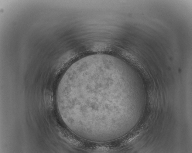 X0000068830592200605121343