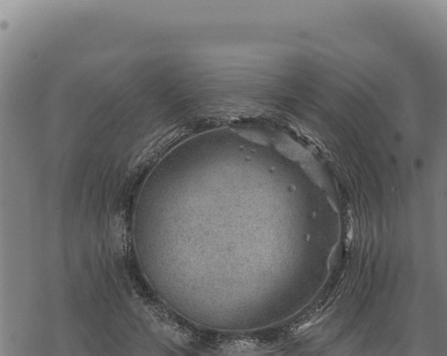 X0000068830594200605121343