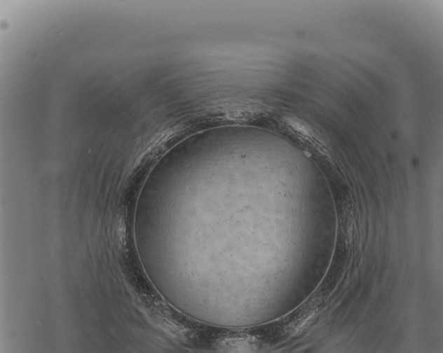 X0000068830595200605121343