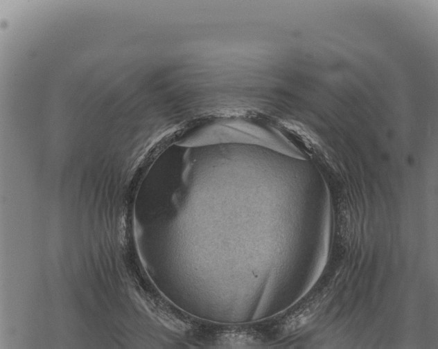 X0000068830596200605121343