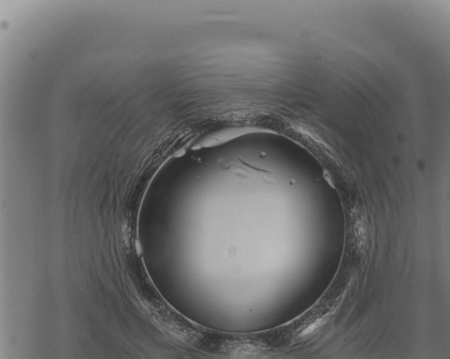 X0000068830597200605121343