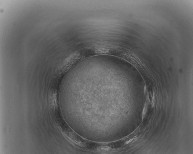 X0000068830598200605121343