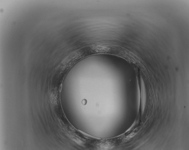 X0000068830604200605121343