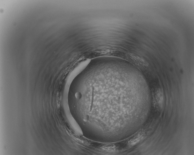 X0000068830606200605121343