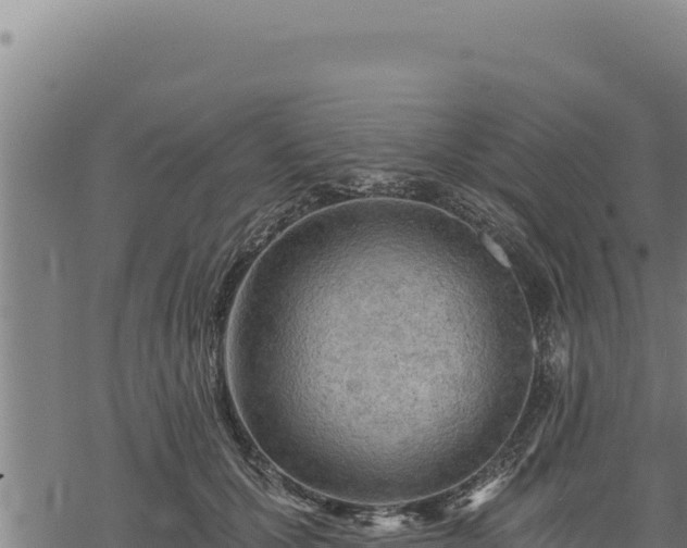 X0000068830607200605121343