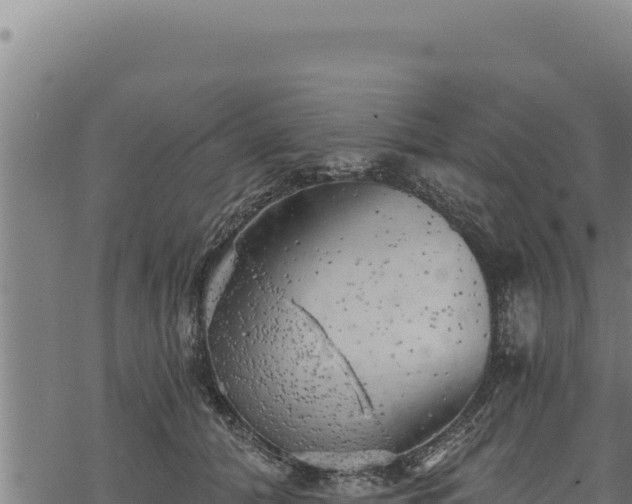 X0000068830608200605121343