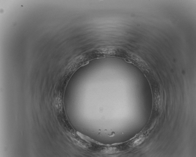 X0000068830609200605121343