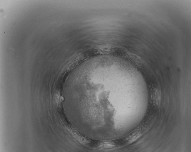 X0000068830610200605121343