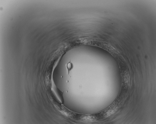 X0000068830611200605121343