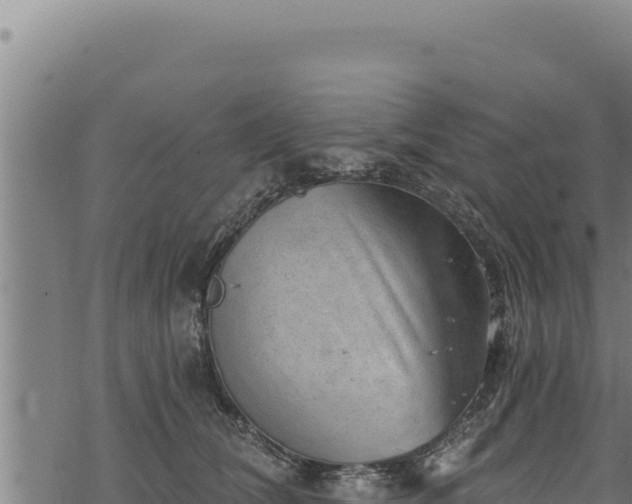 X0000068830612200605121343