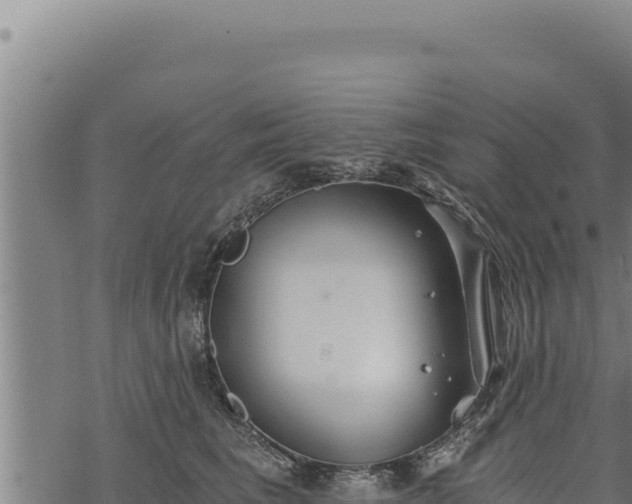 X0000068830613200605121343