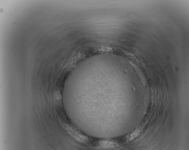 X0000068830614200605121343