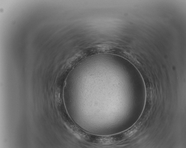 X0000068830615200605121343