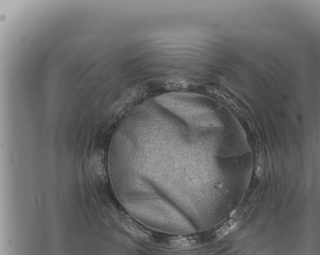 X0000068830616200605121343