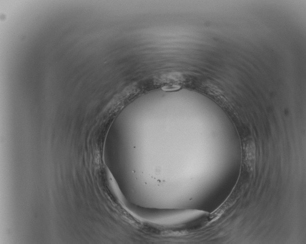 X0000068830617200605121343