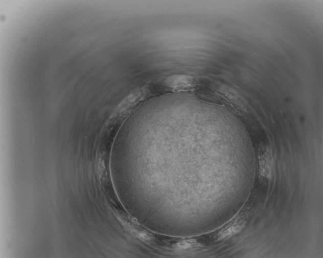 X0000068830618200605121343