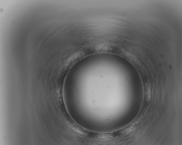 X0000068830619200605121343