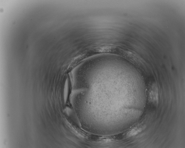 X0000068830620200605121343