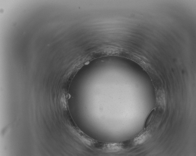 X0000068830622200605121343