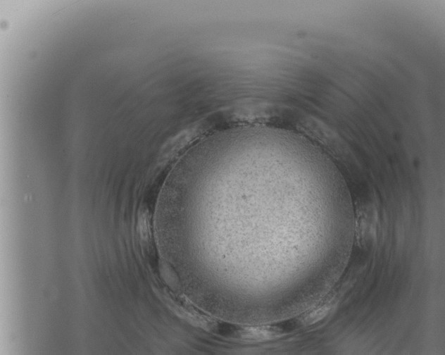 X0000068830623200605121343