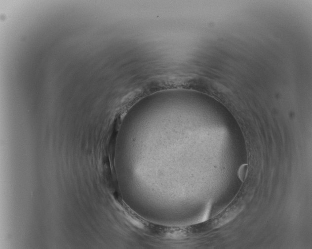 X0000068830624200605121343