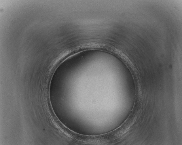 X0000068830625200605121342