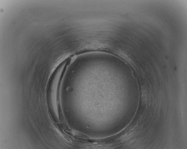 X0000068830626200605121342