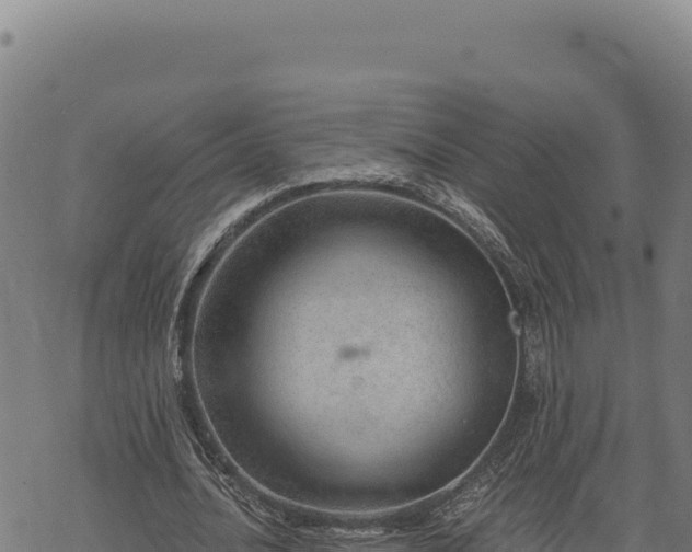 X0000068830628200605121342