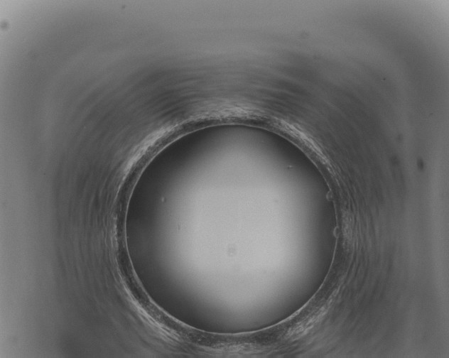 X0000068830629200605121342