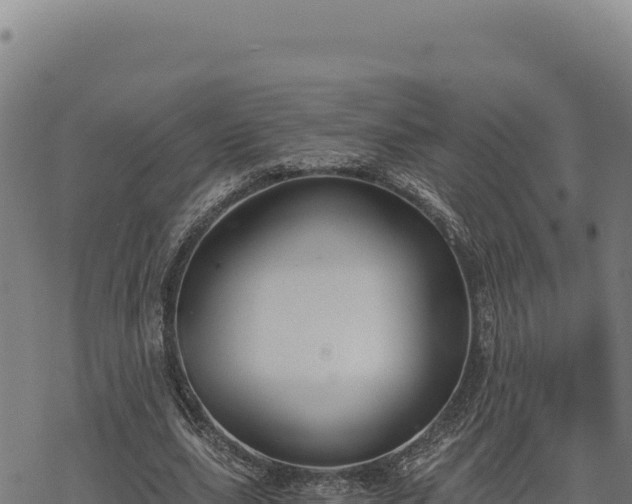 X0000068830631200605121342