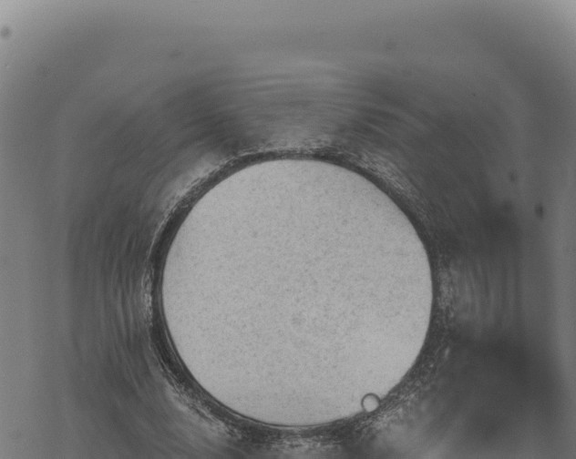 X0000068830632200605121342