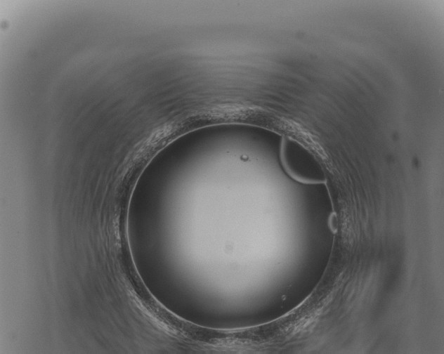 X0000068830633200605121342