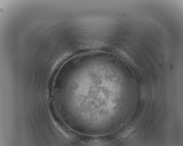 X0000068830634200605121342