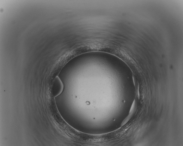 X0000068830639200605121342