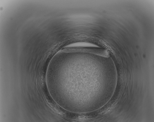 X0000068830641200605121342