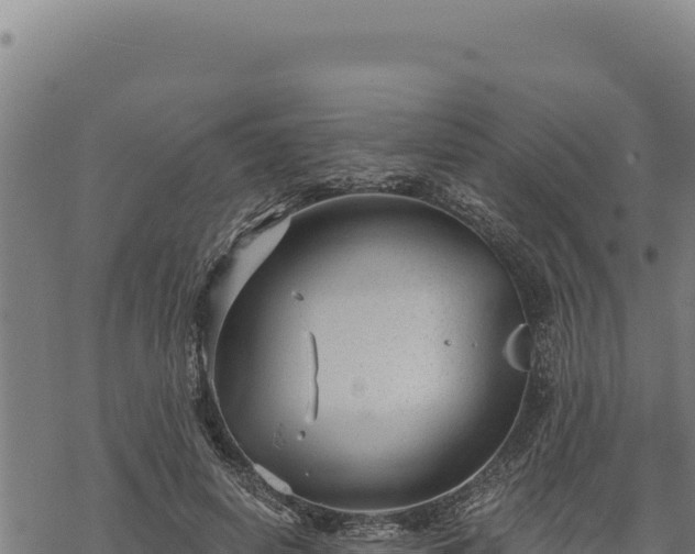 X0000068830642200605121342