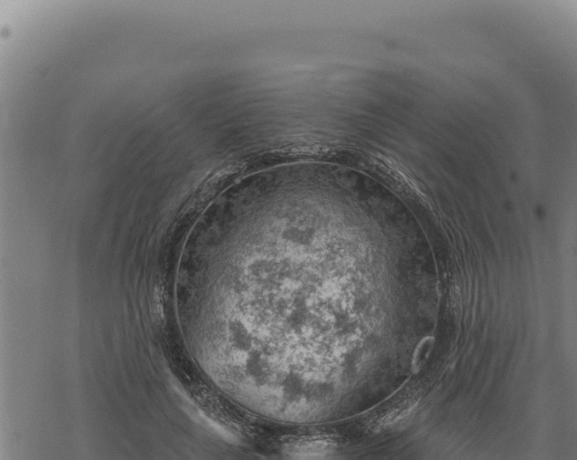 X0000068830643200605121342