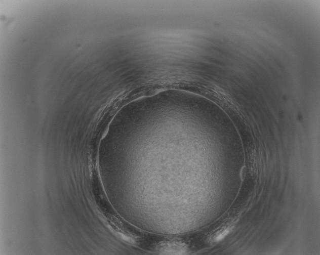 X0000068830644200605121342