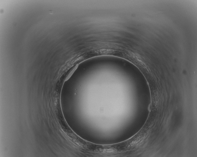 X0000068830645200605121342